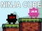 Mäng Ninja Kuub Internetis