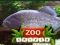 Mäng ZOO Trivia Internetis