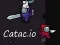 MĂ€ng Catac.io Internetis MĂ€ng Catac.io Internetis
