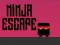 Mäng Ninja põgenemine Internetis
