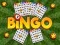 Mäng Bingo Avatud Internetis
