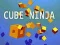 Mäng Kuup Ninja Internetis