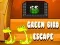 Mäng Roheline Lind Põgenemine Internetis
