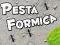 Mäng Sääskede Pidustus Internetis