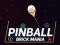 Mäng Pinball Kivi Mania Internetis