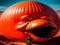 Mäng Halloween'i Kõrvitsa Pusle Mäng Internetis