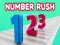 Mäng Number Rush Internetis