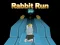 Mäng Rabbit Run 3D Internetis