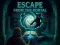Mäng Escape from the Portal Internetis