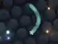 Mäng Slither.io Internetis