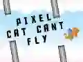 MĂ€ng Pikselikass ei saa lennata Internetis MĂ€ng Pikselikass ei saa lennata Internetis