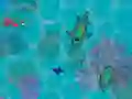Mäng Sharkz.io Internetis