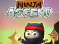Mäng Ninja Tõus Internetis Mäng Ninja Tõus Internetis
