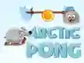 MĂ€ng Arktika Pong Internetis MĂ€ng Arktika Pong Internetis