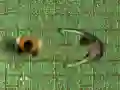 MĂ€ng Nakkuse LabĂŒrint Internetis MĂ€ng Nakkuse LabĂŒrint Internetis