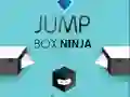 Mäng Hüppav Karp Ninja Internetis Mäng Hüppav Karp Ninja Internetis