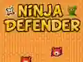 MĂ€ng Ninja Kaitsja Internetis MĂ€ng Ninja Kaitsja Internetis