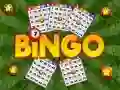 MĂ€ng Bingo Internetis MĂ€ng Bingo Internetis