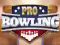 Mäng Pro Bowling Internetis