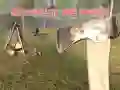 MĂ€ng Ellu Metsas Internetis MĂ€ng Ellu Metsas Internetis