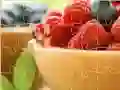 MĂ€ng FG Pusle Internetis MĂ€ng FG Pusle Internetis