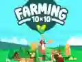 MÀng PÔllumajandus 10x10 Internetis MÀng PÔllumajandus 10x10 Internetis