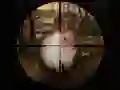 Mäng Klassikaline Jänese Sniper Jahindus 2019 Internetis Mäng Klassikaline Jänese Sniper Jahindus 2019 Internetis