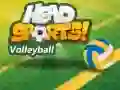Mäng Head Sports Võrkpall Internetis Mäng Head Sports Võrkpall Internetis