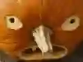 Mäng 5 ühes Pildipusle: Halloweeni Internetis Mäng 5 ühes Pildipusle: Halloweeni Internetis