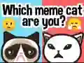 MĂ€ng Milline meme kass sa oled? Internetis MĂ€ng Milline meme kass sa oled? Internetis