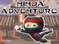 MĂ€ng Ninja Seiklus Internetis MĂ€ng Ninja Seiklus Internetis