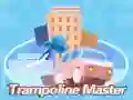 MĂ€ng Trampoliini meister Internetis MĂ€ng Trampoliini meister Internetis