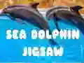 Mäng Mere Delfiini Kõigile Internetis