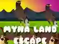 Mäng Myna maa pääsemine Internetis