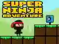 Mäng Super Seiklus Ninja Internetis