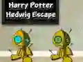 MÀng Harry Potter: Hedwigi PÔgenemine Internetis MÀng Harry Potter: Hedwigi PÔgenemine Internetis