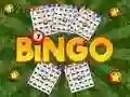 MĂ€ng Bingo Avatud Internetis MĂ€ng Bingo Avatud Internetis