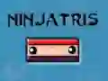Mäng Ninjatris Internetis