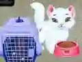 MĂ€ng Baby Taylor: Lemmikute Hooldus Internetis MĂ€ng Baby Taylor: Lemmikute Hooldus Internetis