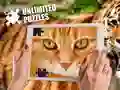 MÀng Piiramatud mÔistatused Internetis MÀng Piiramatud mÔistatused Internetis