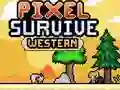 Mäng Pixel Ellujäämine Lääs Internetis Mäng Pixel Ellujäämine Lääs Internetis