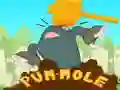 Mäng Pum-Mole Internetis