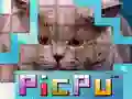 Mäng PicPu Kass Internetis