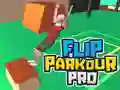 MĂ€ng Flip Parkour Pro Internetis MĂ€ng Flip Parkour Pro Internetis