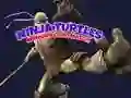 Mäng Ninja Kilpkonnade Mälumäng Internetis