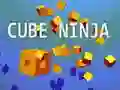 MĂ€ng Kuup Ninja Internetis MĂ€ng Kuup Ninja Internetis