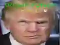 Mäng Trump Naljakas Nägu Internetis Mäng Trump Naljakas Nägu Internetis