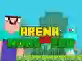 MĂ€ng Arenas: Noob vs Pro Internetis MĂ€ng Arenas: Noob vs Pro Internetis