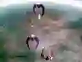MĂ€ng Scape Shotter Internetis MĂ€ng Scape Shotter Internetis