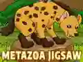 Mäng Metazoa Pusle Internetis